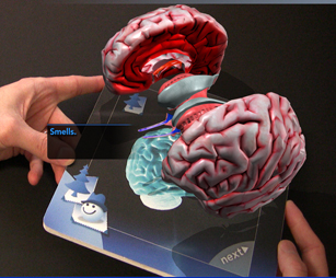 Augmented Reality Brain – Chicago Museum of Science & Industry